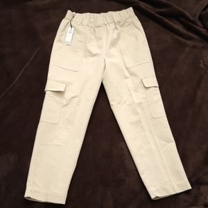 Aritzia- The Group by Babaton Titan Pant